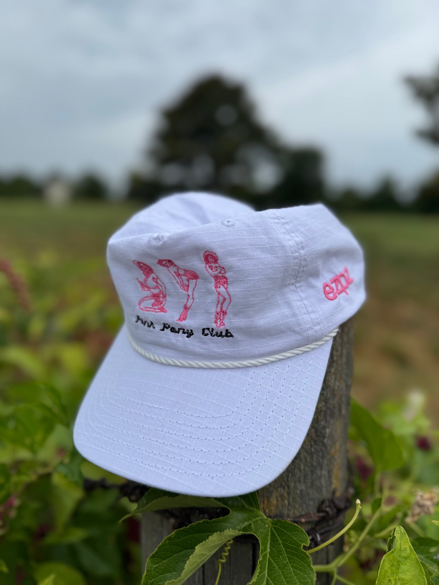 Pink Pony