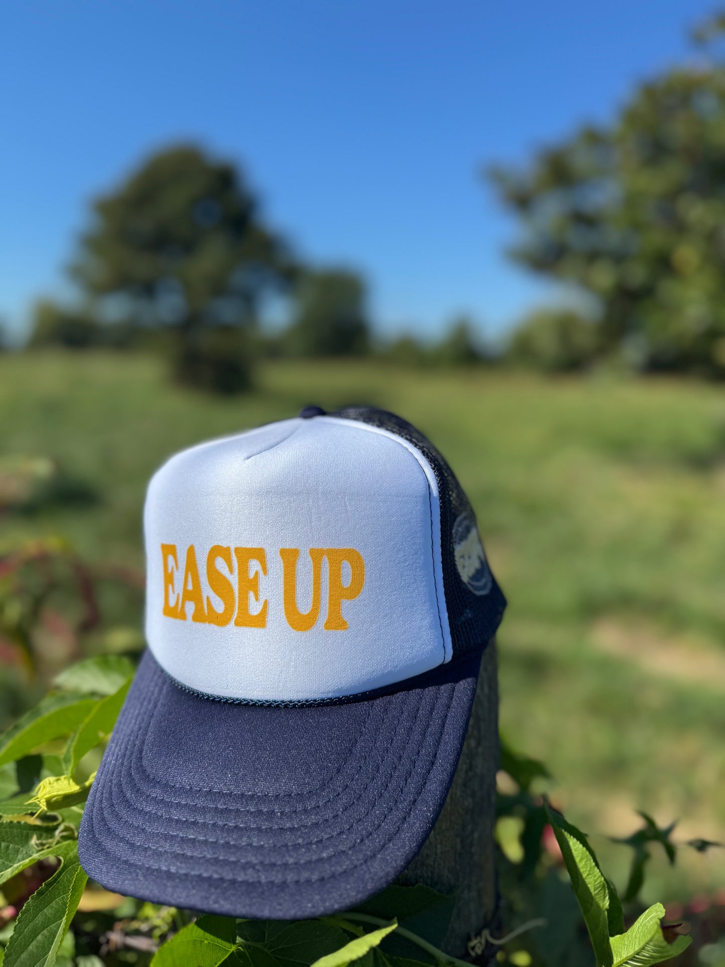 Ease Up