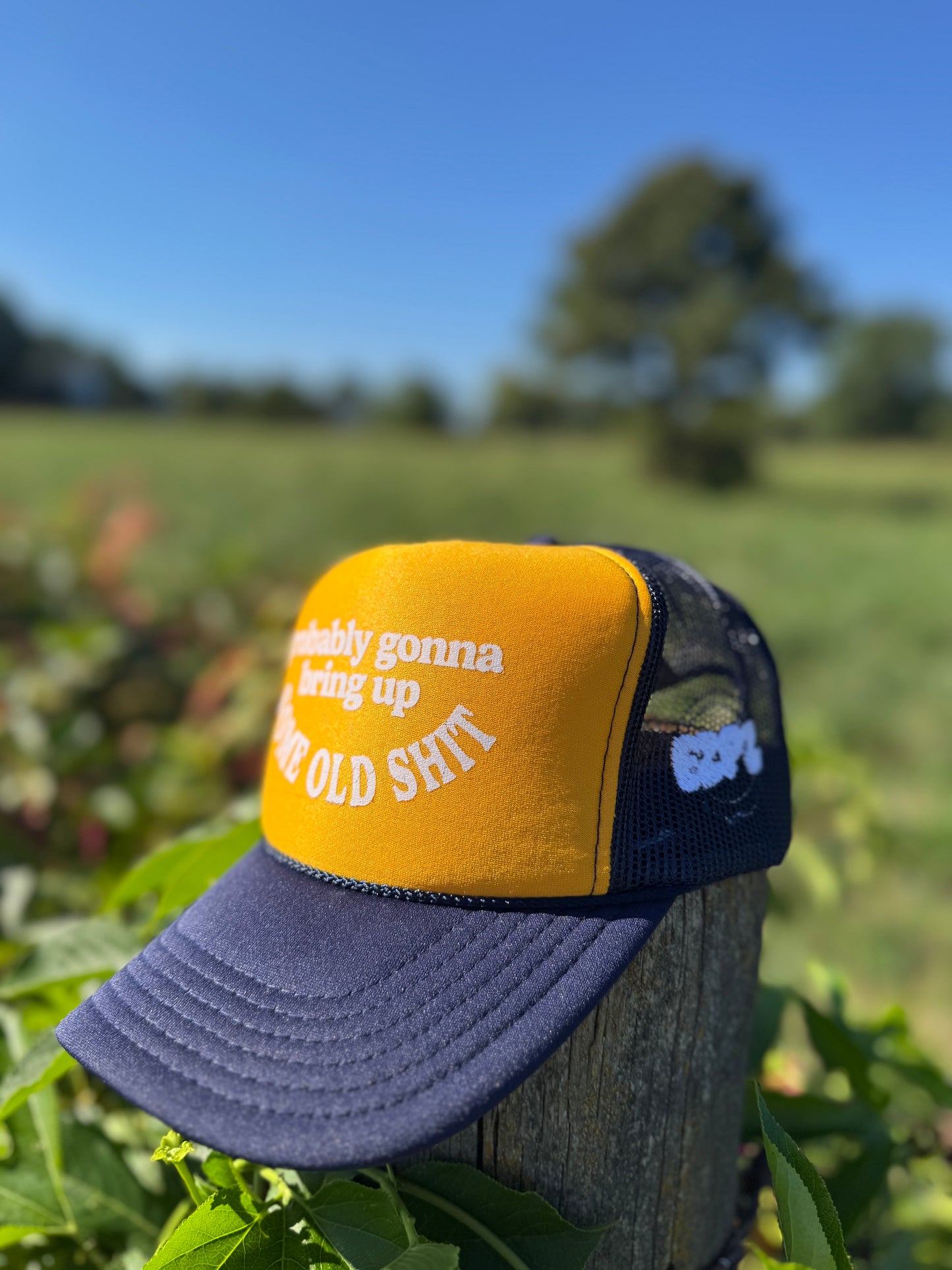 Your Aunts Favorite Hat