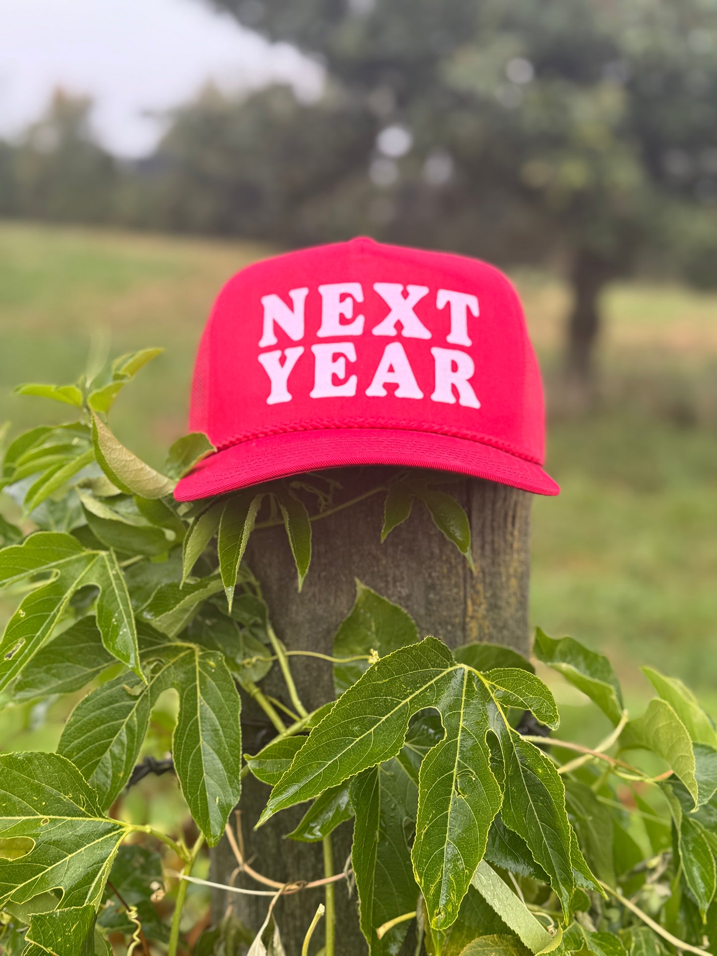 Next Year - Otto Trucker