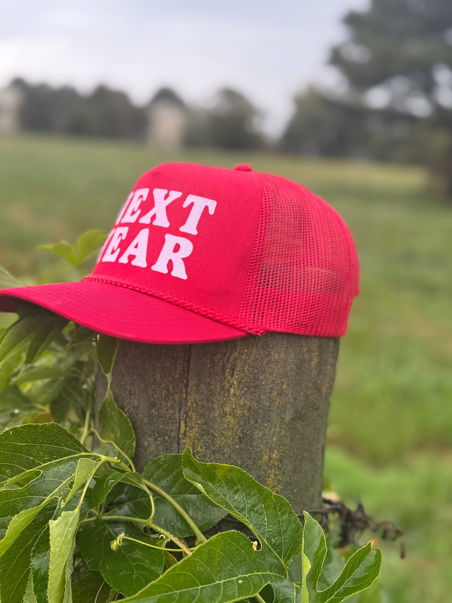 Next Year - Otto Trucker