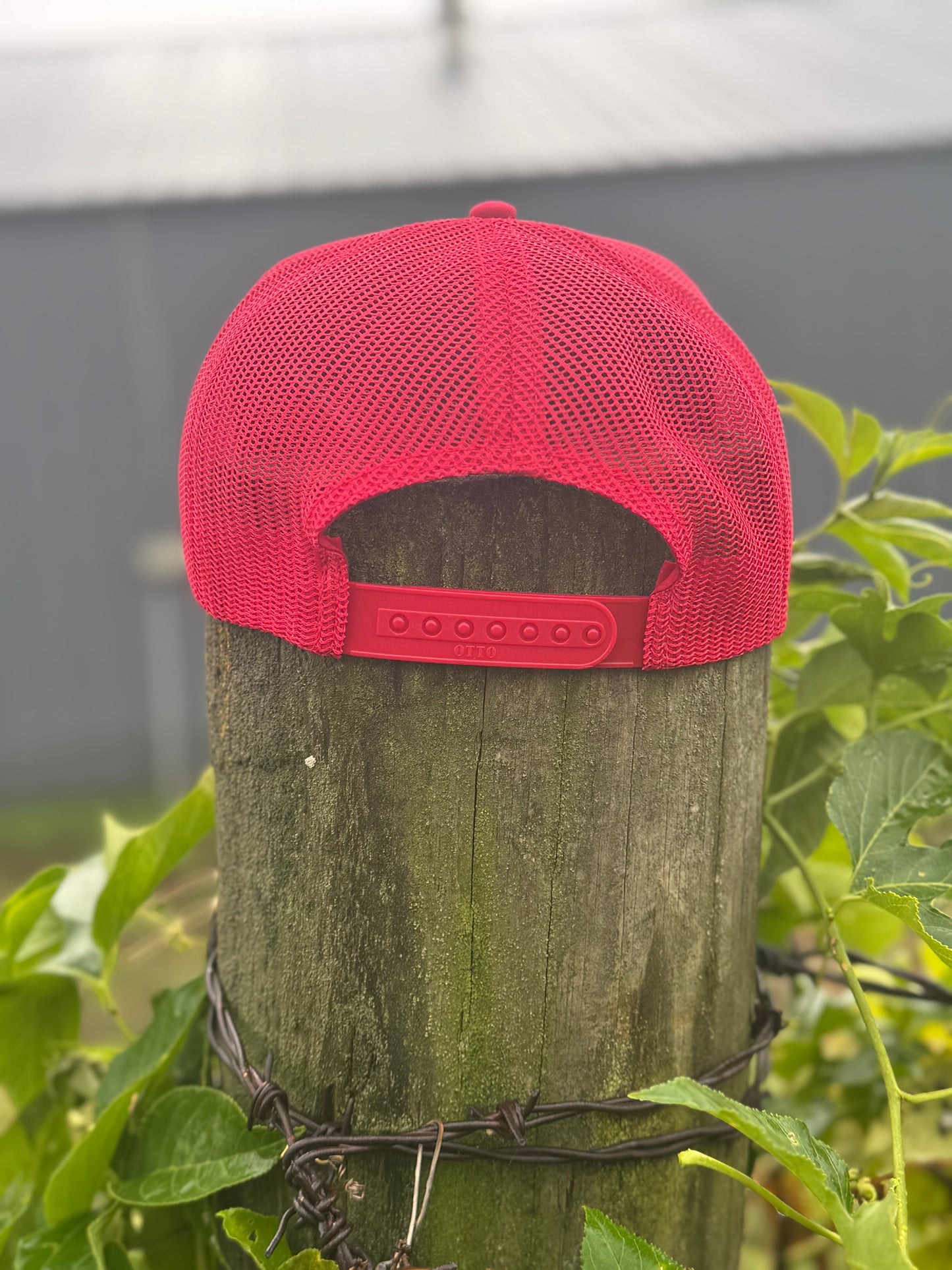 Next Year - Otto Trucker