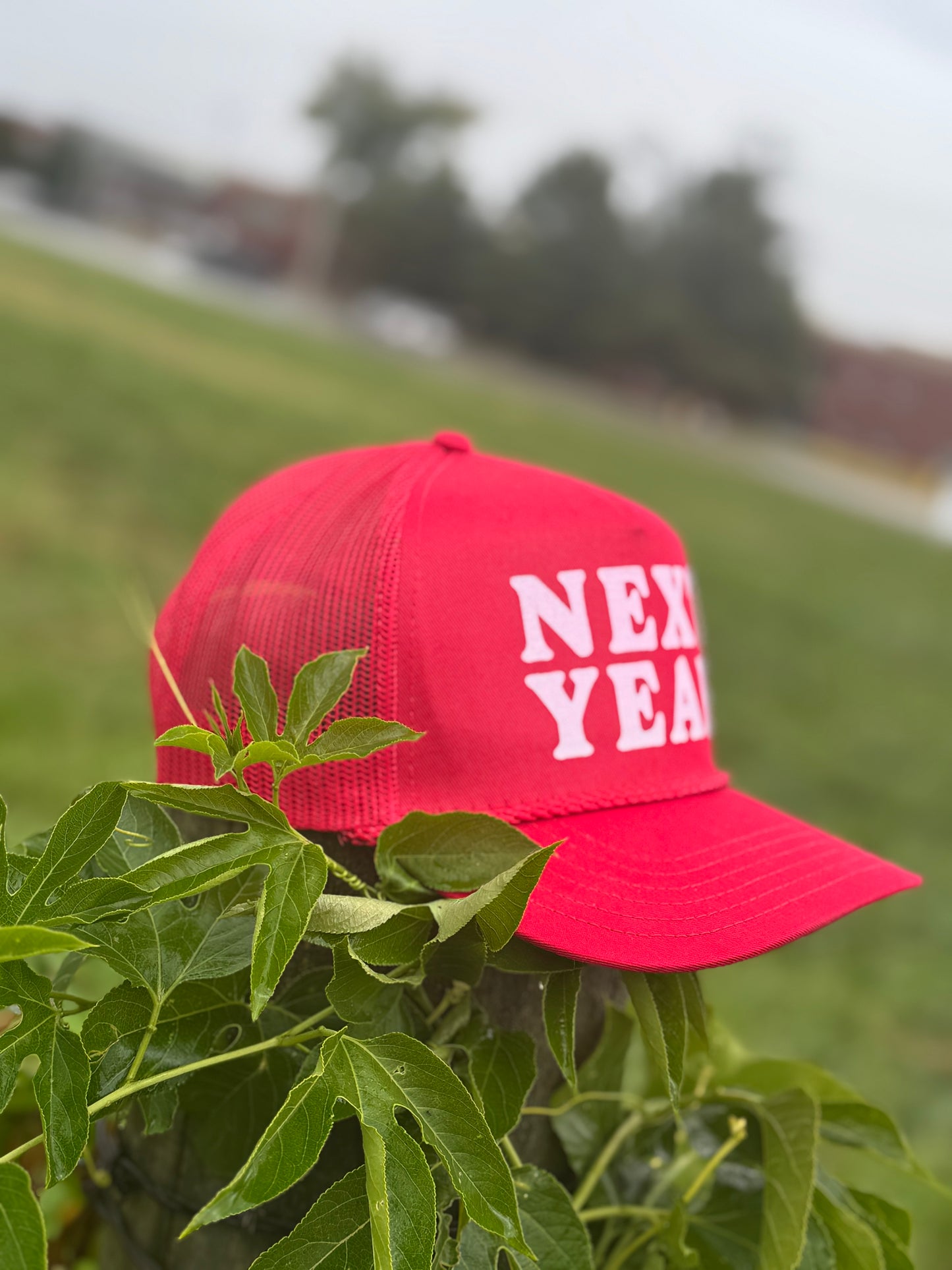 Next Year - Otto Trucker