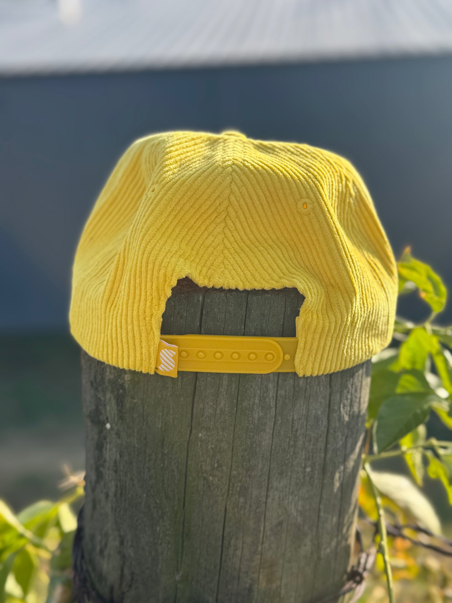Yellow Corduroy Branded EZPZ